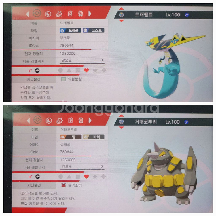 포켓몬 실전 컨셉 파티 분양,(단델, 호브)--1