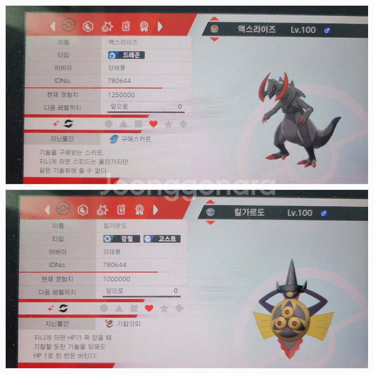포켓몬 실전 컨셉 파티 분양,(단델, 호브)--2