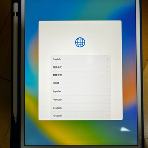 아이패드 프로 10.5 256기가+ 애플펜슬