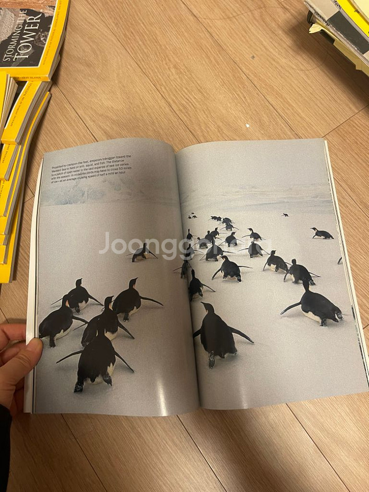 오리지널 영문판 내셔널 지오그래픽 원서 26권. 94--9