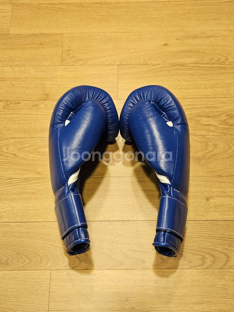위닝 16온스 벨크로 블루 글러브--2