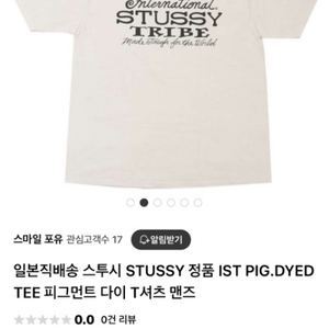 스투시 (STUSSY) IST PIG.DYED TEE