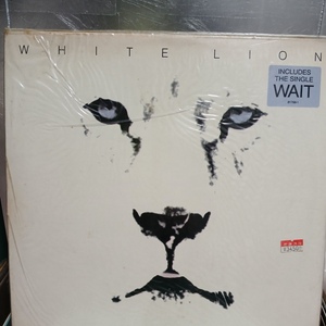 LP white lion