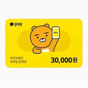 카카오페이 3만원