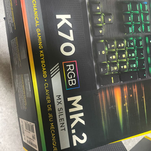 커세어 k70 mk2 저소음적축 팝니다(pbt키캡포함)