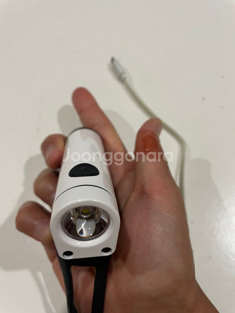 본트레거 이온 ion 800r--1