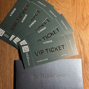 지산 포레스트 리조트 VIP 리프트권