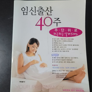 임신출산 40주