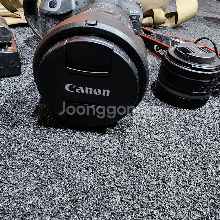 케논 R6 mark 2/ 알계륵 24-70 /RF50m--2