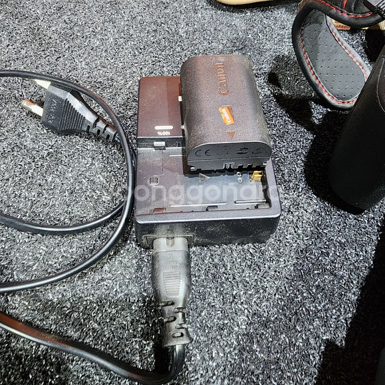 케논 R6 mark 2/ 알계륵 24-70 /RF50m--4