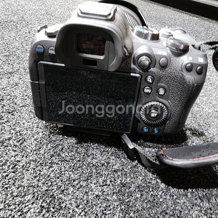 케논 R6 mark 2/ 알계륵 24-70 /RF50m--6