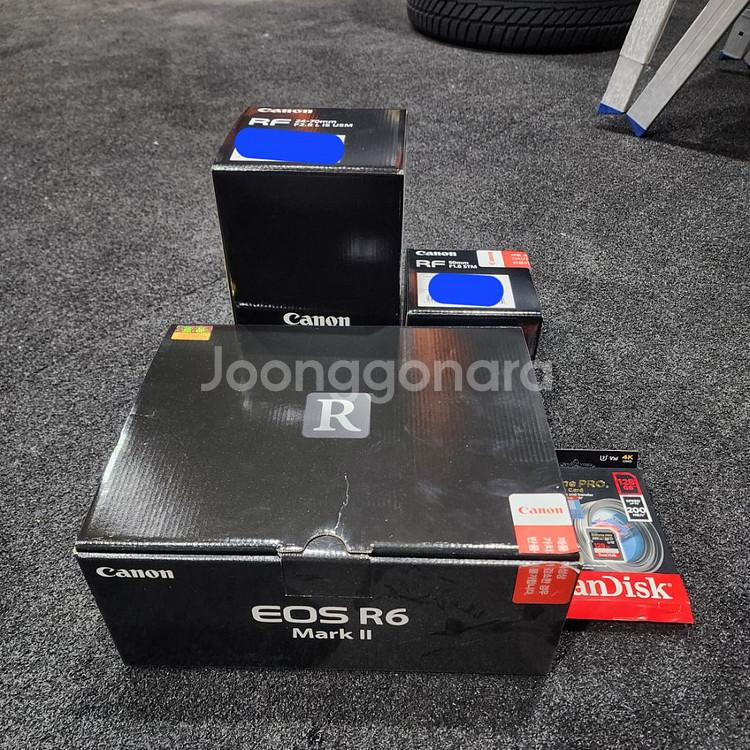 케논 R6 mark 2/ 알계륵 24-70 /RF50m--7