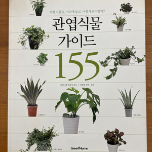 관엽식물 가이드 155