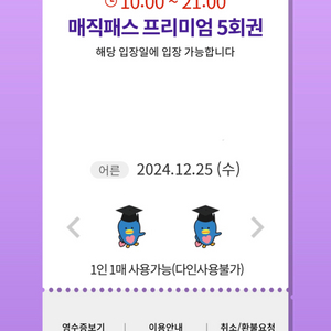 12.25(수) 크리스마스 롯데월드 매직패스 5회권