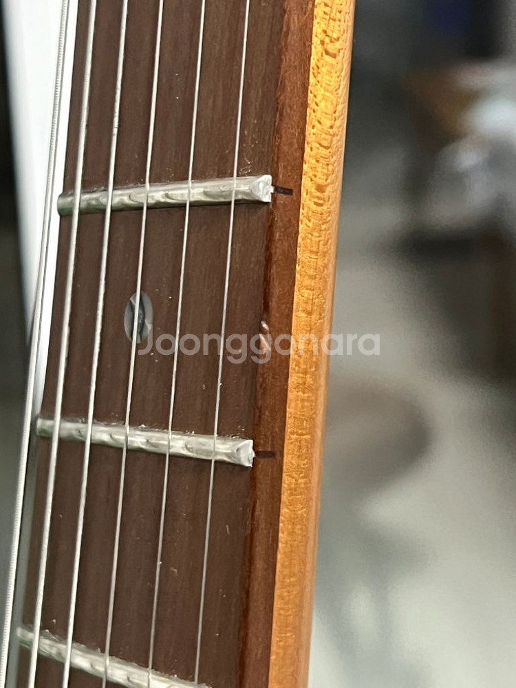 Aria Pro II 714 MK2 일렉--3