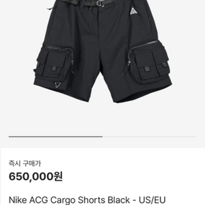 나이키 ACG 카고 쇼츠 블랙 2XL