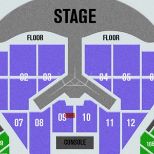 임영웅 콘서트(1.3 vip 9구역 17열)