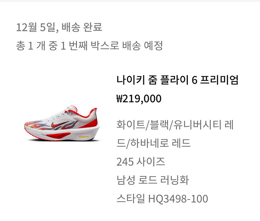 나이키 줌플라이6 에키덴 남성 245--5