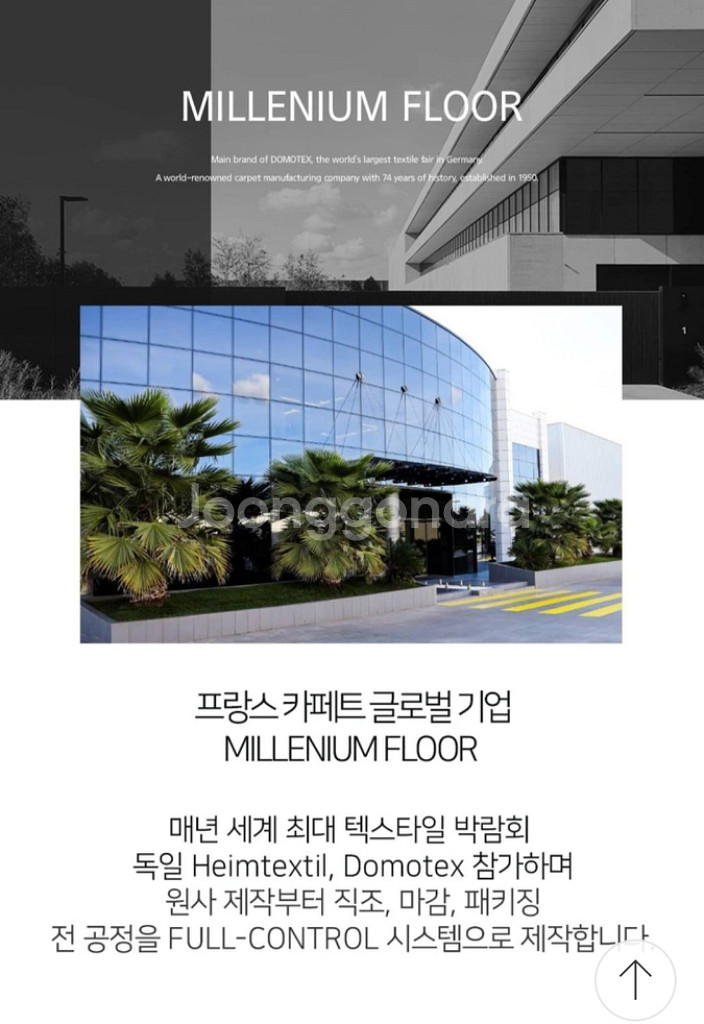 유럽카페트 밀레니엄플로워 슈퍼그랜드--5