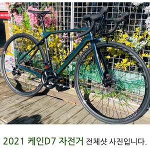 로드자전거 첼로 케인 d7 판매합니다 급처