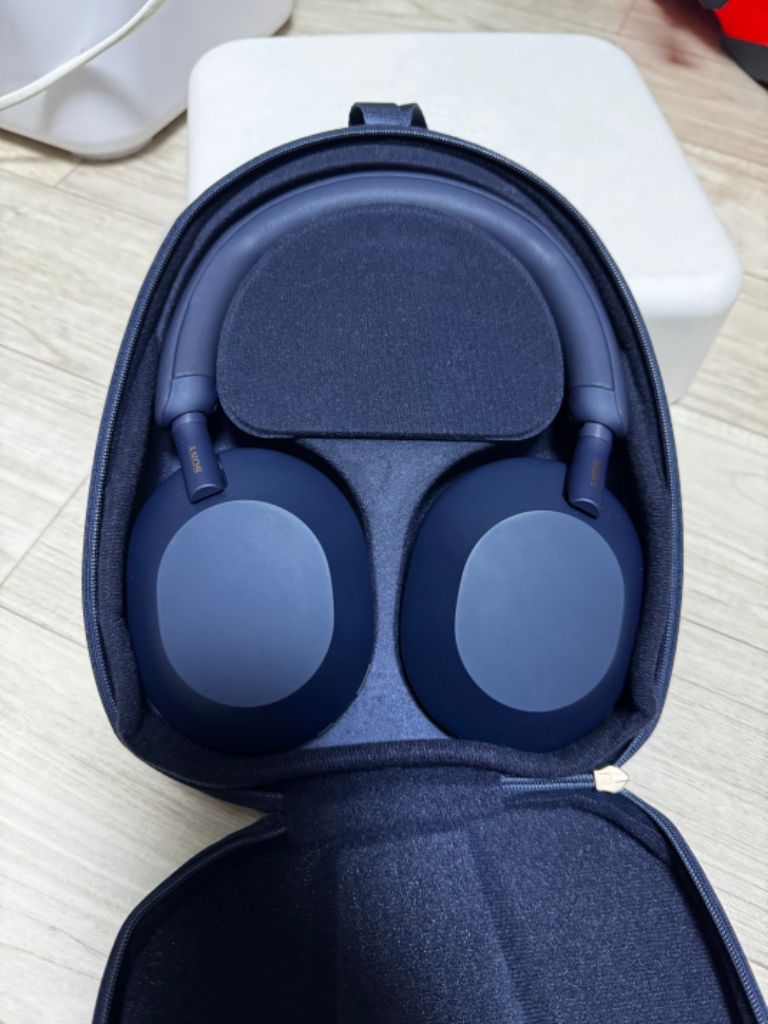 wh10000xm5 블루