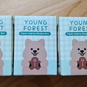 YOUNG FOREST 피규어 키링 박스