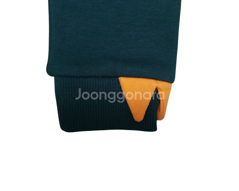에스핏 키즈 공룡 후드티--4