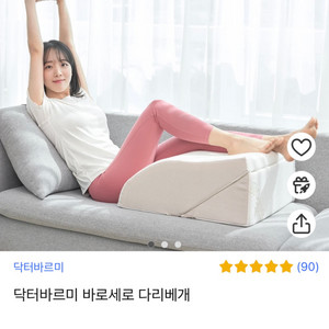 닥터바르미 다리베개