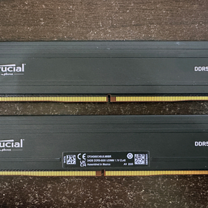 48GB 마이크론 Crucial DDR5-6000