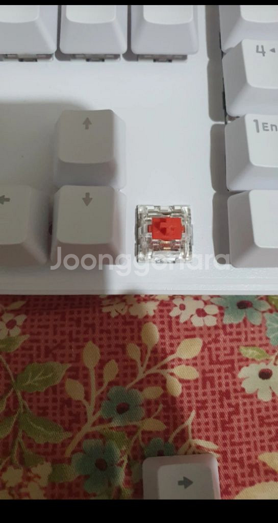 콕스 CK460 팔아요--1