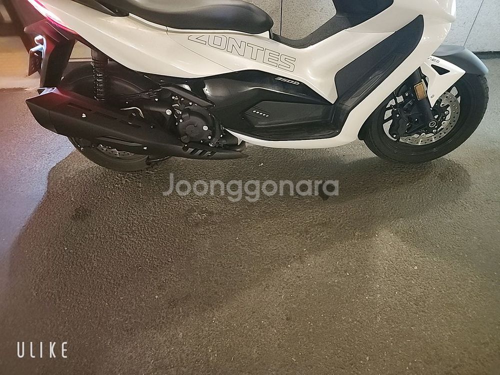 24년씩존테스350D팝니다--2