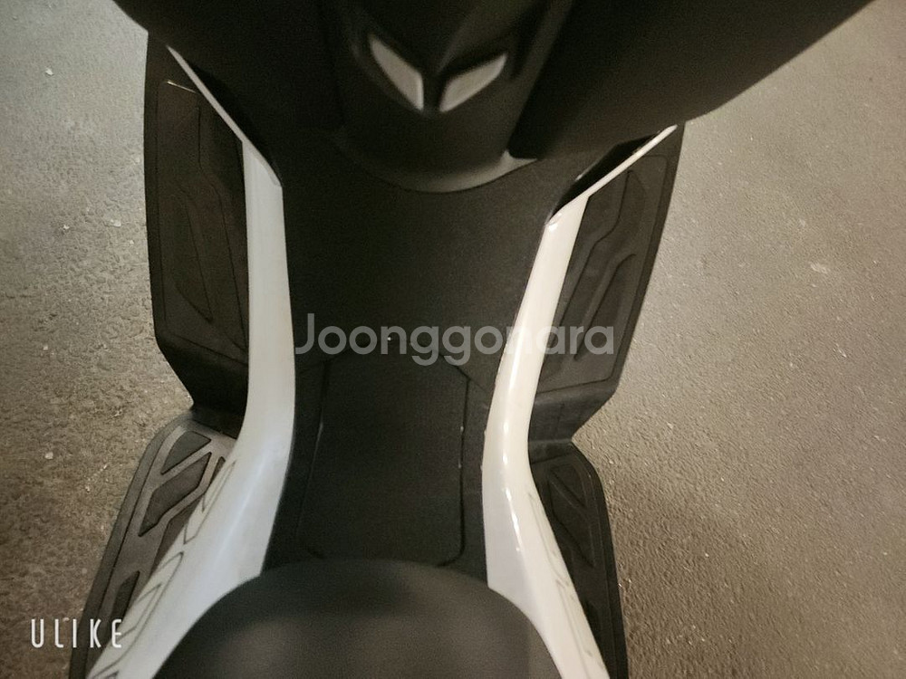 24년씩존테스350D팝니다--4