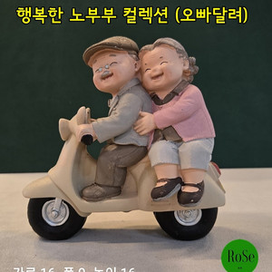 행복한 노부부 컬렉션 (오빠 달려)