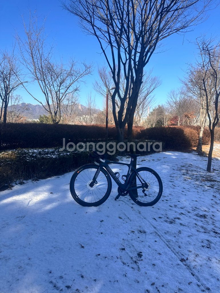 로드자전거 자이언트 프로펠 어드밴스 1 풀 울테그라--1
