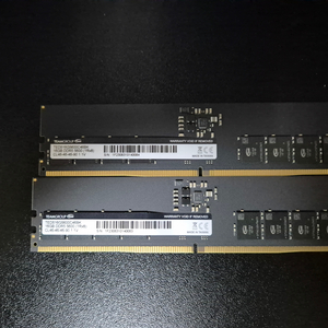 Teamgroup ddr5 5600 16gb 2개