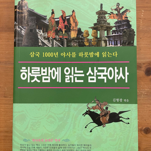 하룻밤에 읽는 삼국야사 - 김형광 엮음