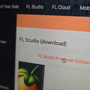 Fl studio producer