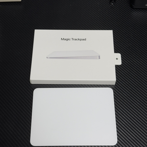 Apple 2021년 Magic Trackpad