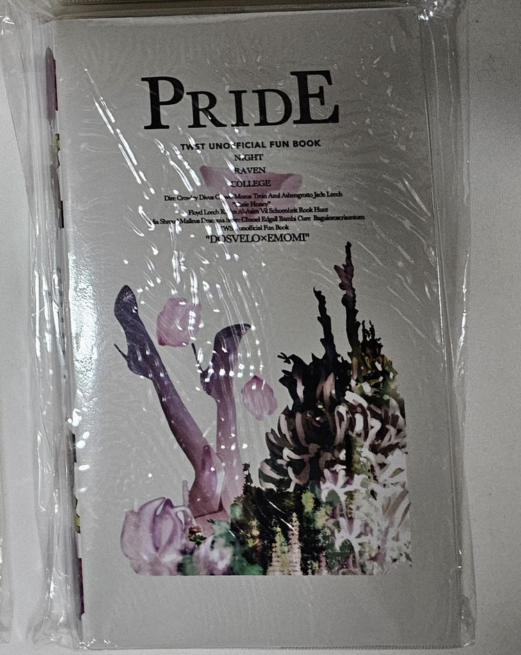 트위스테 프라이드 소설 일본 회지--2