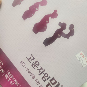 임산부영양제