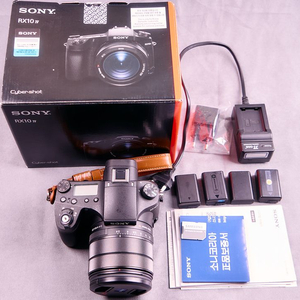 소니 DSC RX10m4