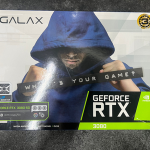 갤럭시 Rtx 3080 sg