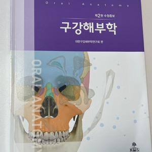 구강해부학