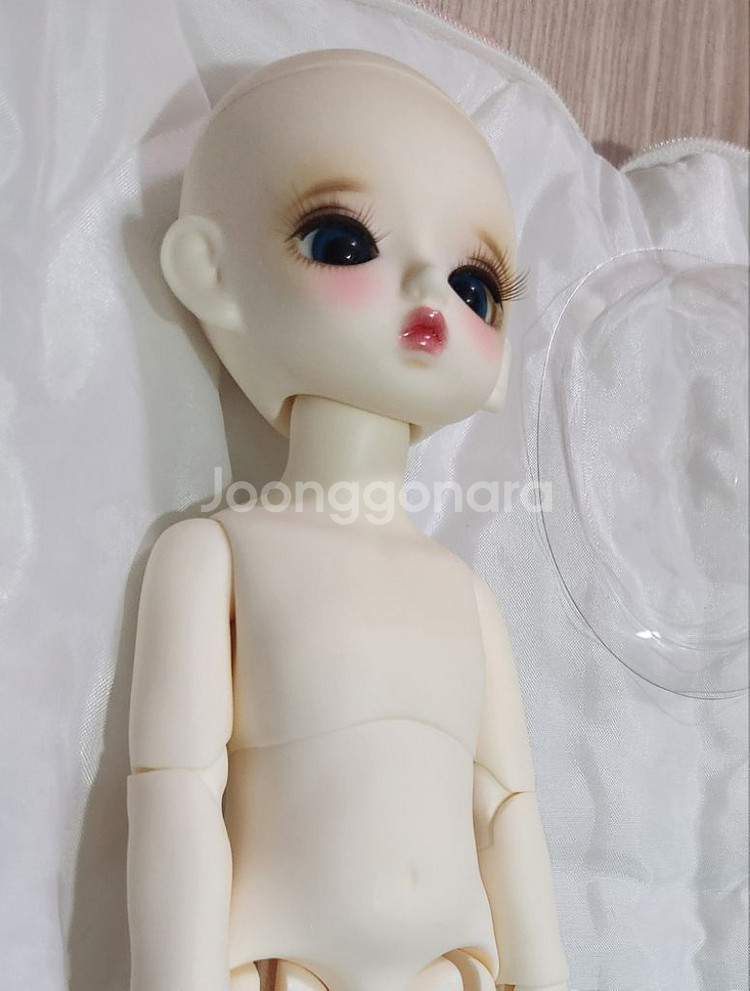 치카비 구체관절인형--4