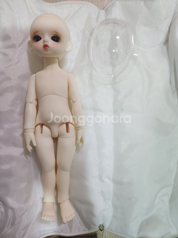 치카비 구체관절인형--6