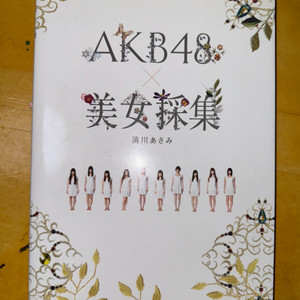 akb48 사진집 미녀채집