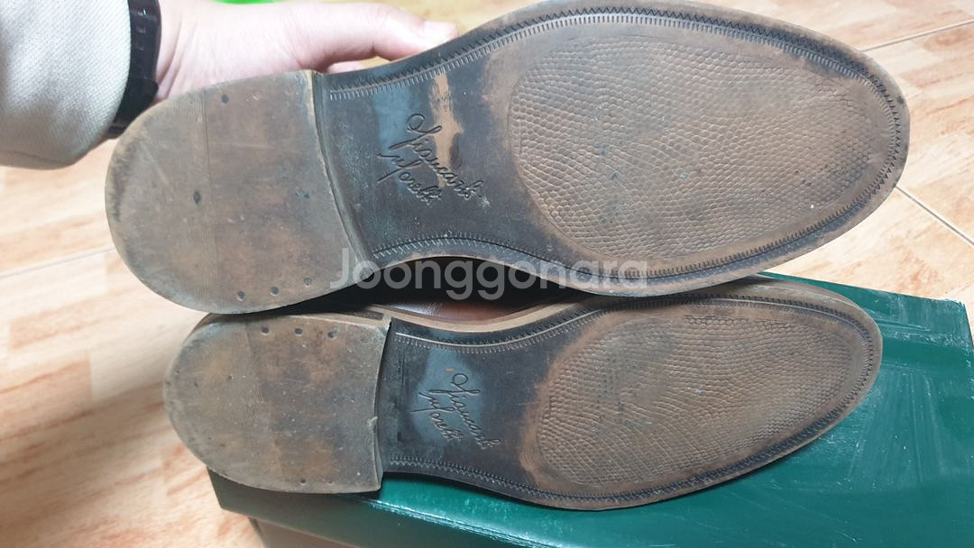 장까를로 모렐리 260--5