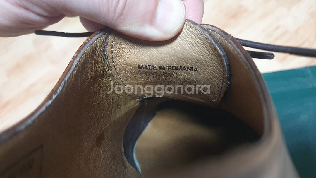 장까를로 모렐리 260--8