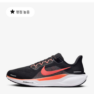 나이키 페가수스41 250