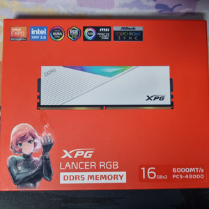 새상품 adata ddr5 메모리 램 XPG 6000